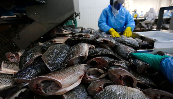  Com aumento de 8,7% na pecuária, Paraná tem 9 cidades entre as maiores produtoras do Brasil